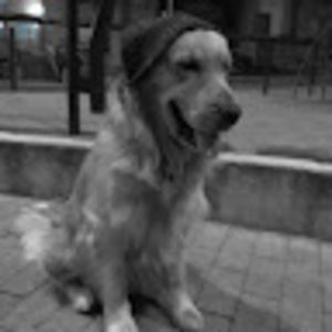 Meet your Posher, Nicolas